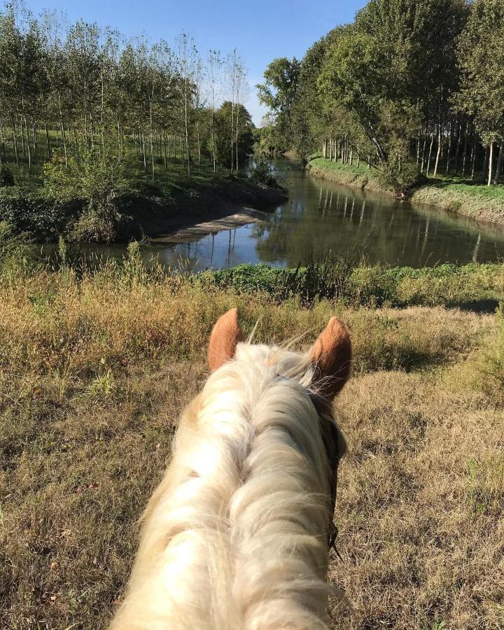 Agriturismo Tenuta "Il Cigno" Villanterio Eksteriør billede