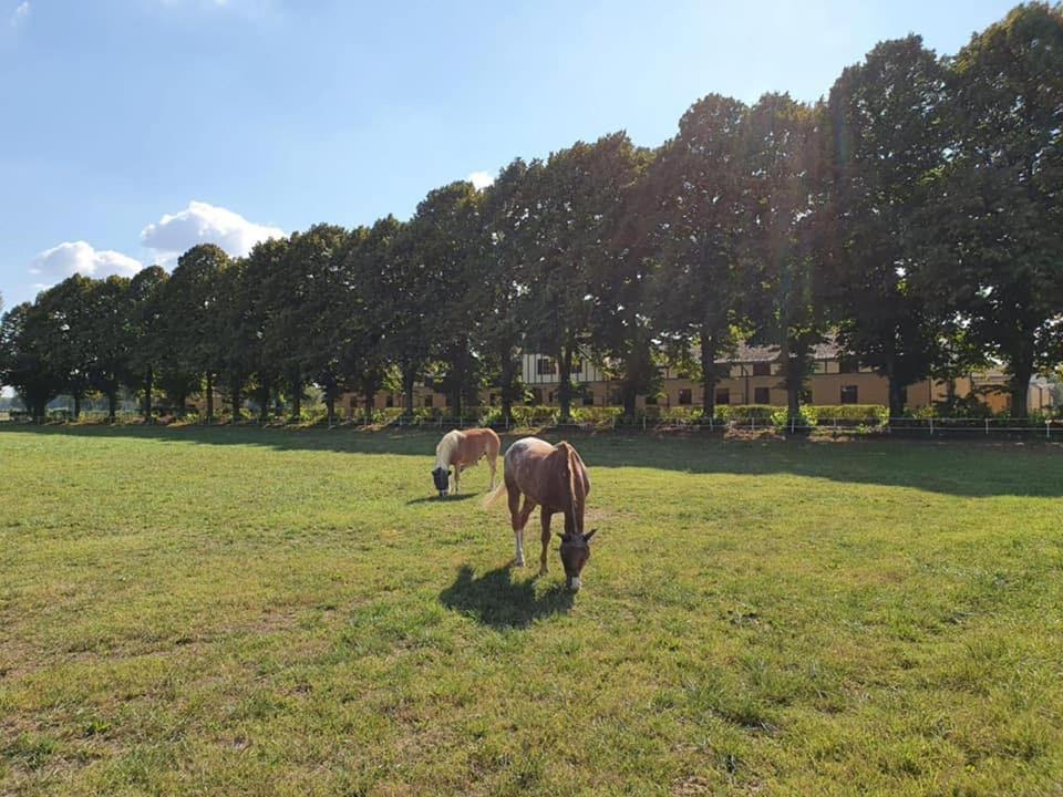 Agriturismo Tenuta "Il Cigno" Villanterio Eksteriør billede
