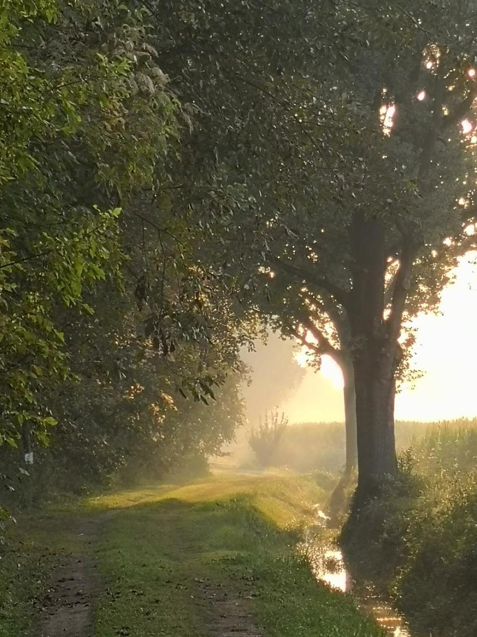 Agriturismo Tenuta "Il Cigno" Villanterio Eksteriør billede