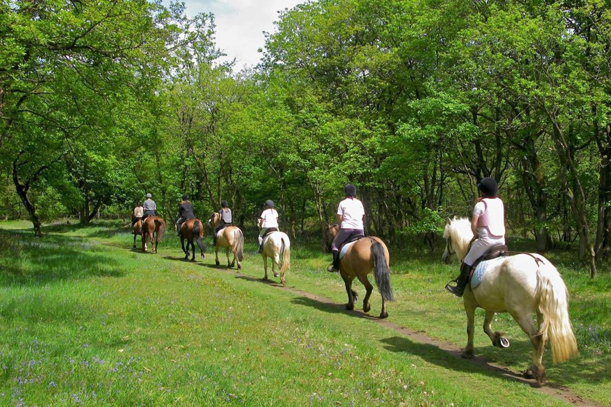 Agriturismo Tenuta "Il Cigno" Villanterio Eksteriør billede