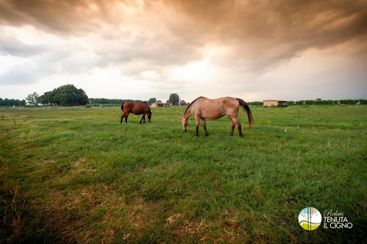 Agriturismo Tenuta "Il Cigno" Villanterio Eksteriør billede